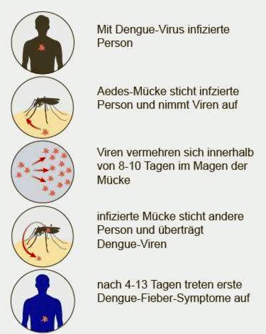 dengue-koorts