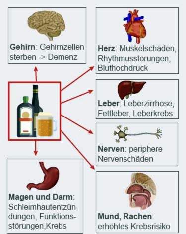 Alkoholismus-Auswirkungen auf Organe