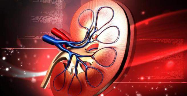 Inkstų arterinė hipertenzija: gydymas ir simptomai - Vaskulitas November